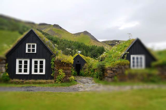 Dark colored house in the countryside with white trim and a grass and plant covered roof